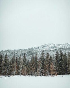 雪覆山林冬日美景