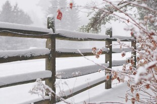 雪覆木栅栏 冬日景致