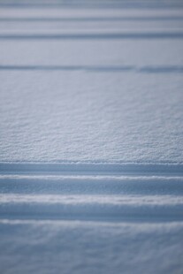 雪地背景