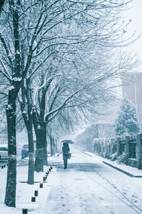 雪后街道行人漫步景象