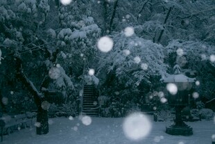 飘雪的静谧园林景观