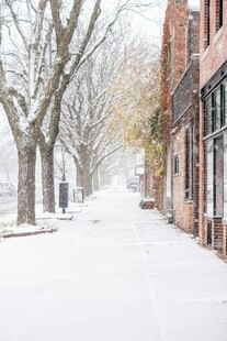 雪后街道的静谧景致