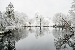 冬日雪覆湖畔静谧美景
