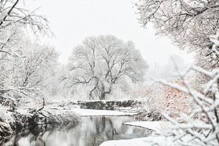 冬日雪景中的静谧河畔