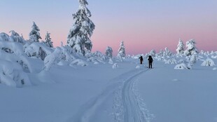 雪地漫步的浪漫冬日景象