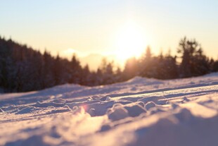 冬日雪地中的温暖日落