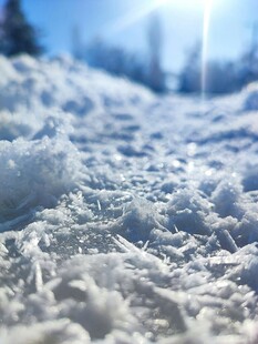 冬日雪地特写