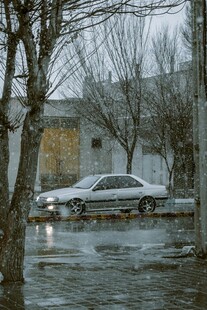 雨中街道旁的车辆与树木