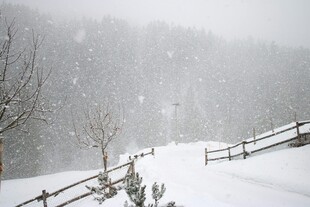 雪覆山林间的静谧雪景