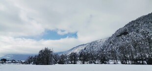 冬日雪景中的山林风光