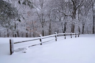 雪覆围栏的静谧冬日景象