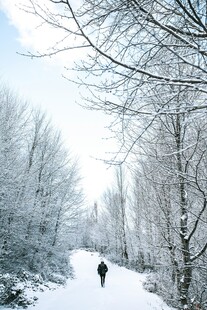 雪林独行人