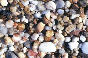 五彩斑斓的海边小石子