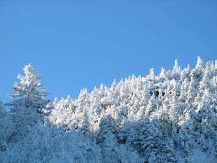 雪覆山林蓝天景