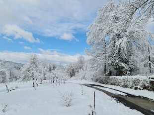 冬日雪覆道路雪景风光