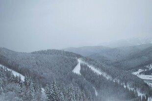 冬日雪覆山林美景