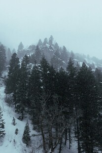 雪覆山林间的静谧景致