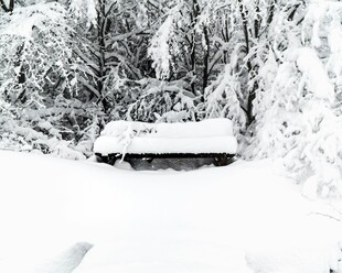 雪覆林间小屋