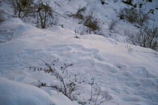 雪覆山坡的冬日景象
