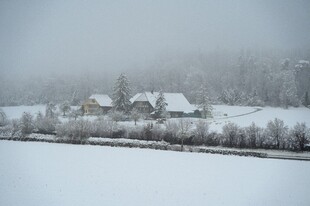 冬日雪景中的静谧村庄