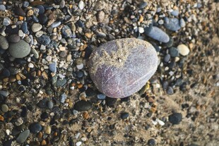 海边多彩鹅卵石特写