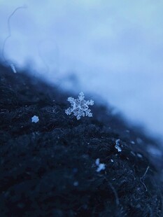 雪花落于织物上的微观景象