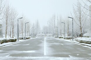 冬日雪后静谧的街道