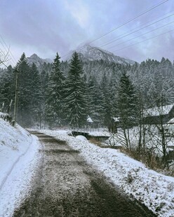 冬日雪覆山林间小路