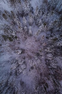 冬日森林鸟瞰雪景
