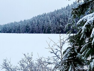 冬日雪覆森林与冰封湖面