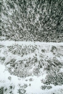 雪覆森林美景