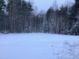冬日雪林景观