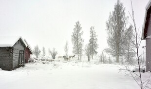 雪覆小屋与树木的冬日景