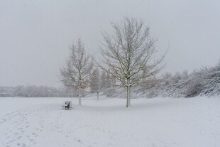 雪地漫步景象