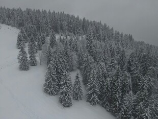 雪覆山林景观