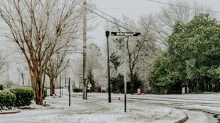 冬日雪后静谧街道景象