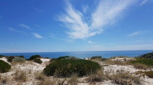 海边荒野美景