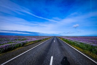 旷野公路