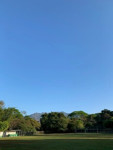 蓝天绿地间的自然景致