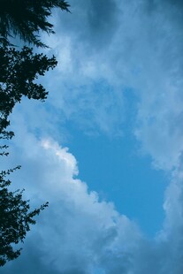 蓝天绿树间的云朵美景