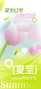 夏至清新海报