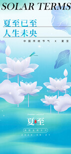 夏至夏日清新荷花