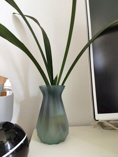 绿瓶中绿植装点桌面