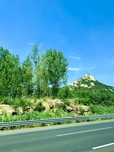 公路旁绿意盎然的自然景致