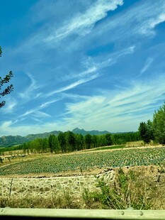 田园风光 蓝天白云下的田野
