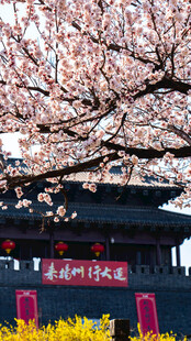 扬州东关街樱花树下城楼