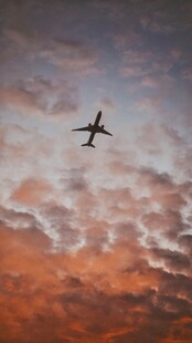 夕阳下飞机翱翔天际