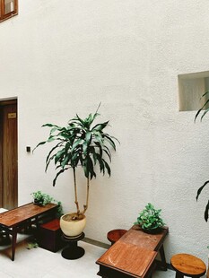 室内绿植与古朴桌椅陈设