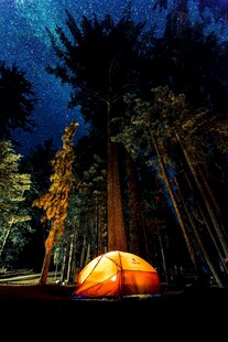 夜晚森林中的橙色露营帐篷