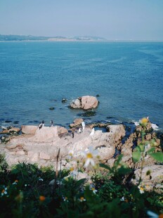 海边岩石景致